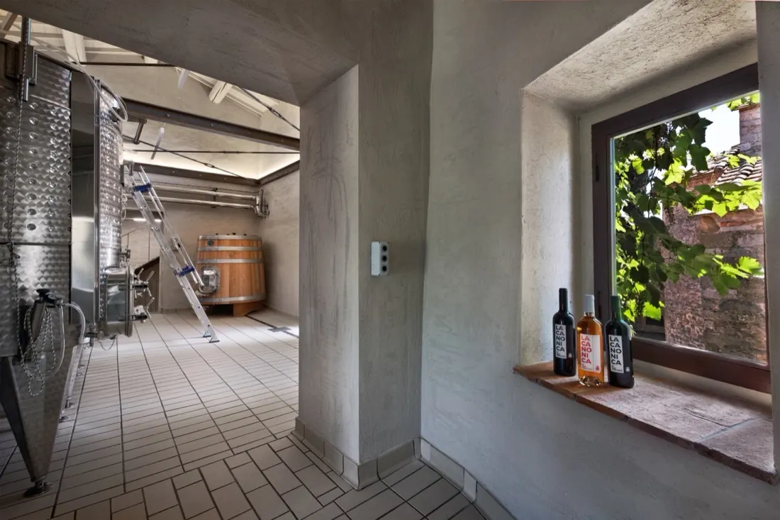 A window onto the vines, from inside