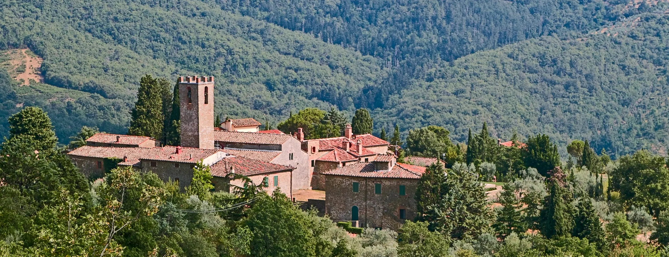The hamlet of San Vincenti among wooded Chianti hills, vines in the foreground