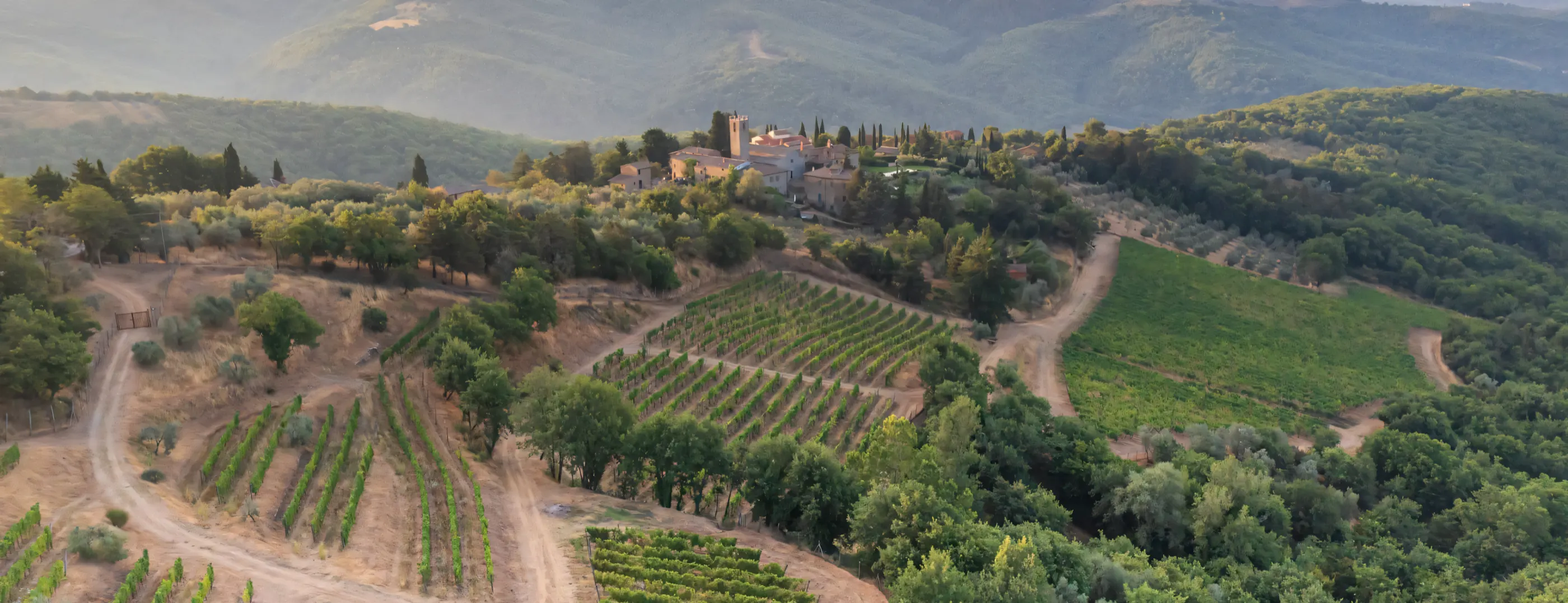 Terraced vineyards below the hamlet, in the Chianti hills