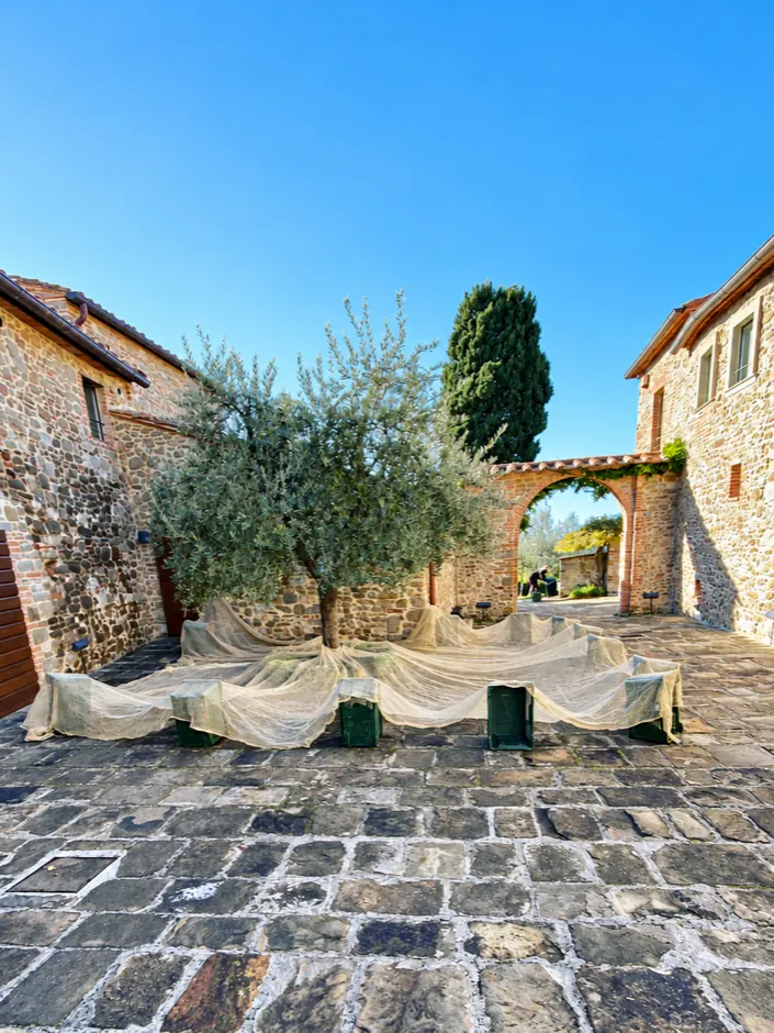 The courtyard, and the way through the arch