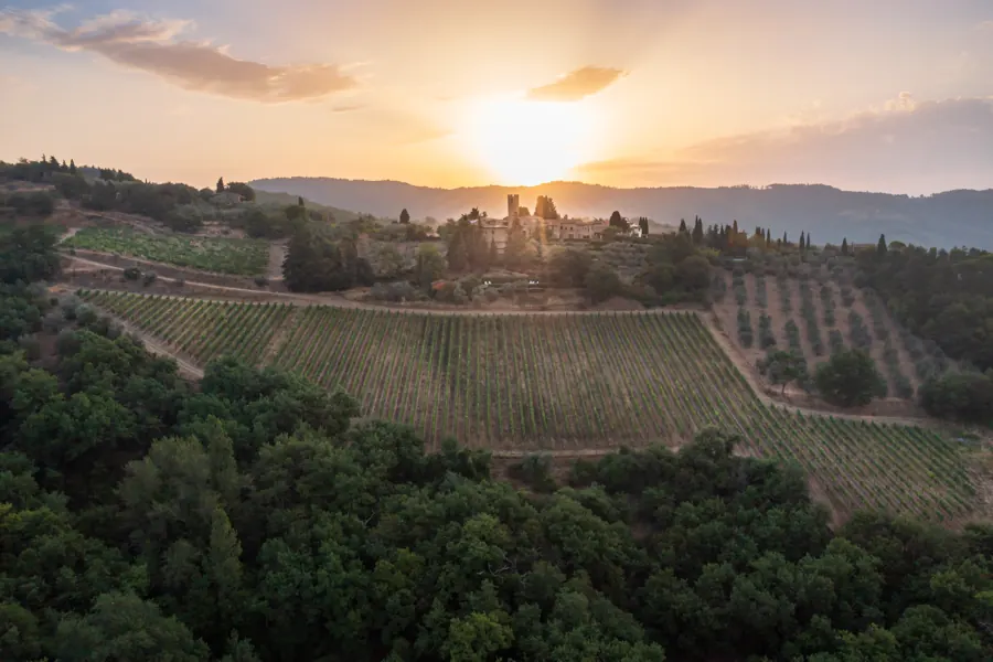 Sunset over the vineyards