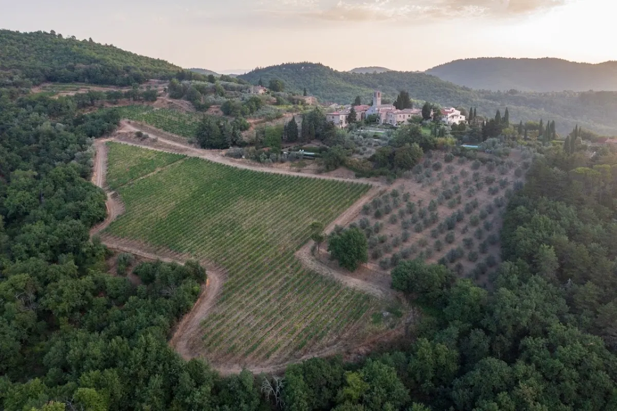 Der Weinberg und der Olivenhain unterhalb des Weilers